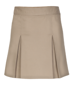 Girls Regular Casual Scooter Skirt (Skorts)